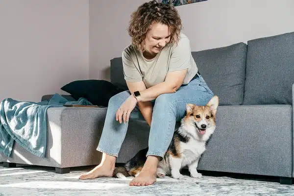 Elderly Dogs