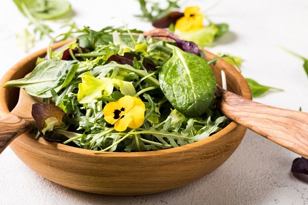 Immune-Boosting Foods