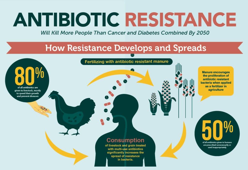 The Scary Reality of Antibiotic Resistance