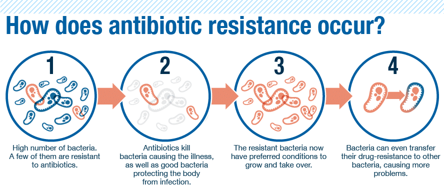 The Scary Reality of Antibiotic Resistance